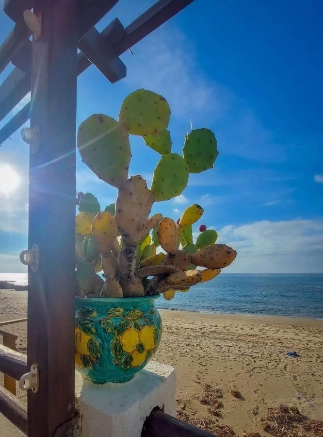 Appartamento La Coffa Agnone Cilento Dış mekan fotoğraf