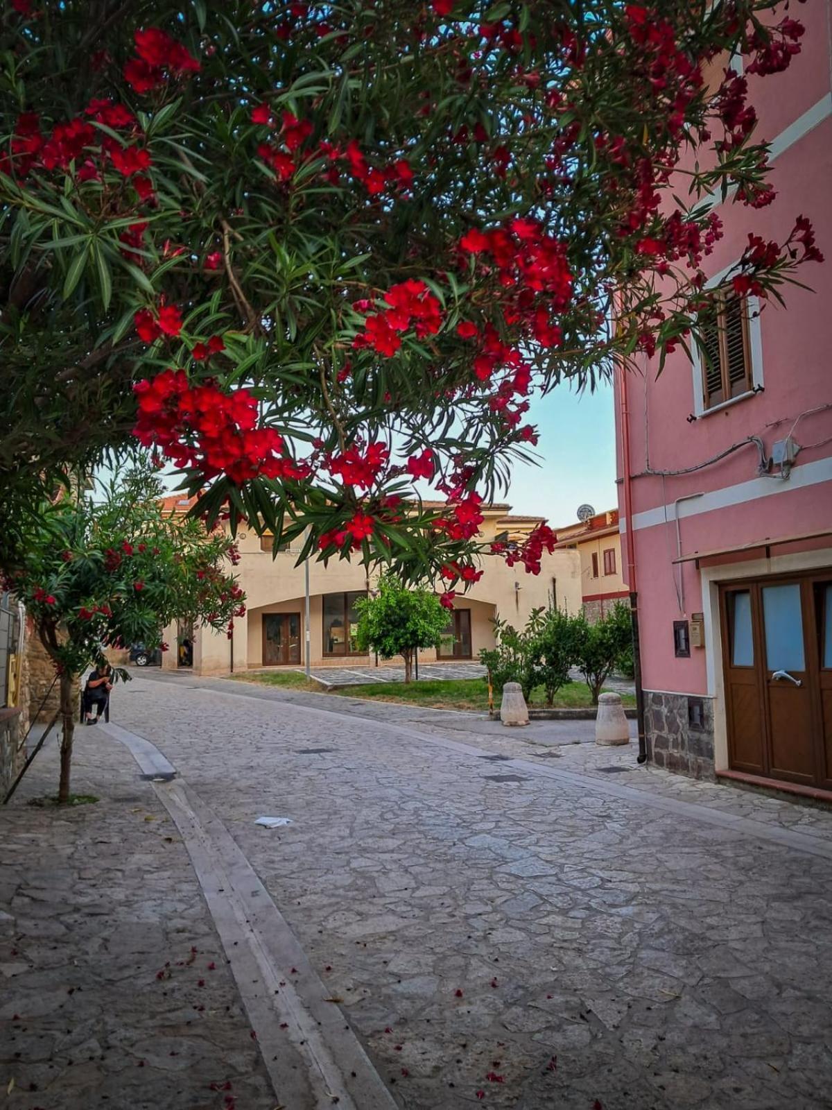 Appartamento La Coffa Agnone Cilento Dış mekan fotoğraf